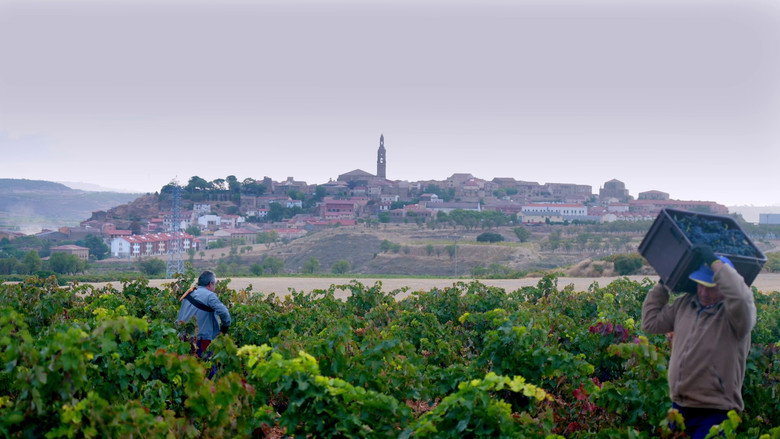 Rioja, la tierra de los mil vinos