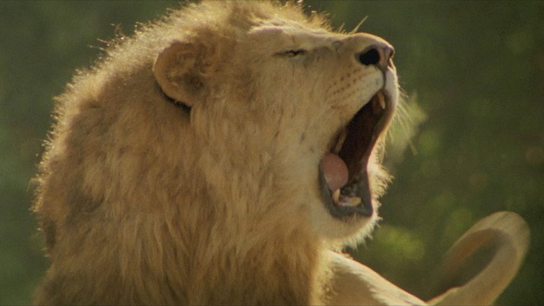 Roar