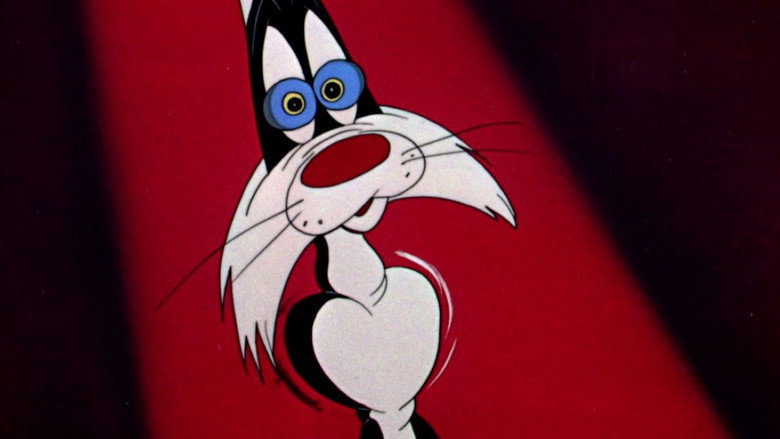 Scaredy Cat