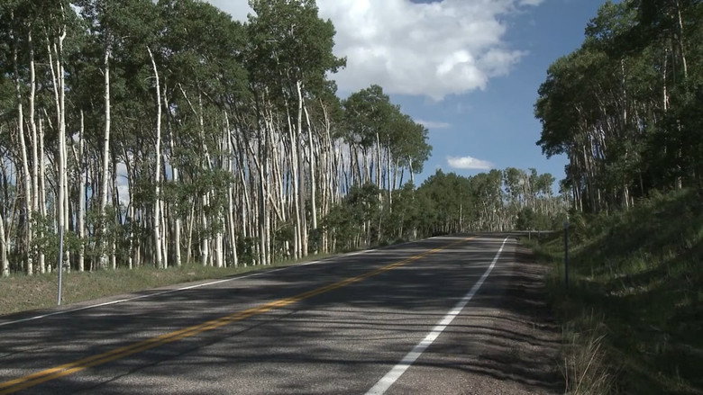 Small Roads