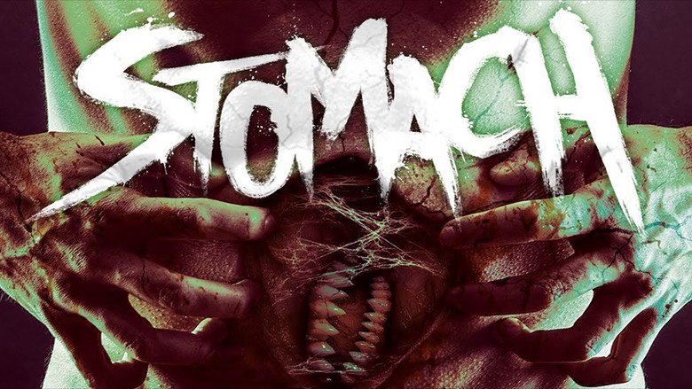 Stomach