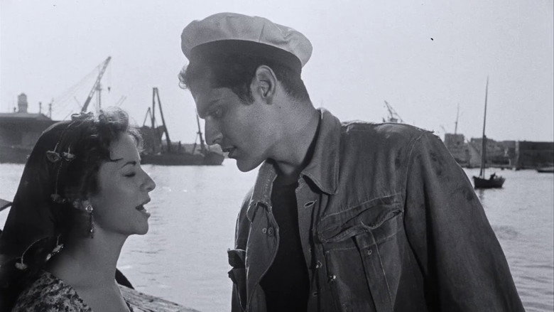 Struggle in the Harbor