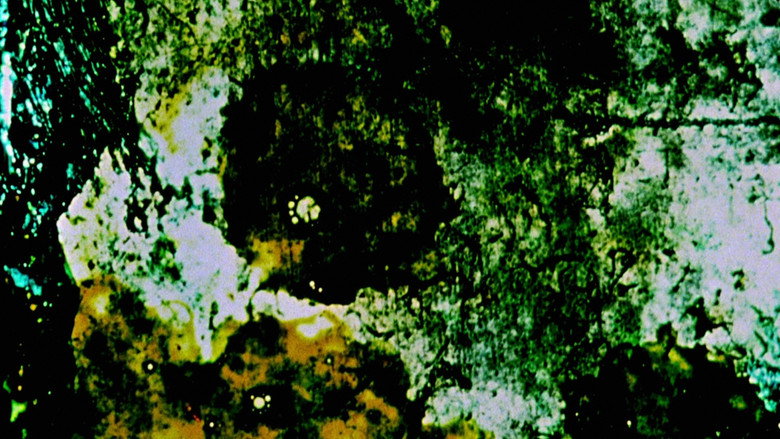 Study in Color and Black and White