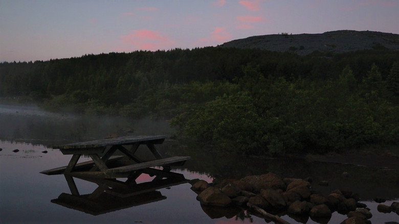 Sumarsólstöður