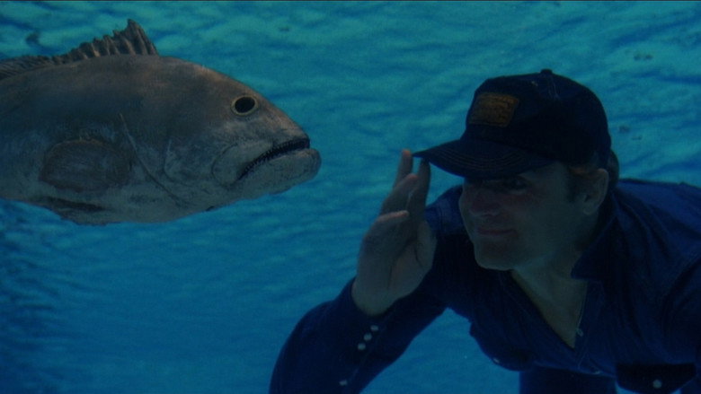 Un drôle de flic
