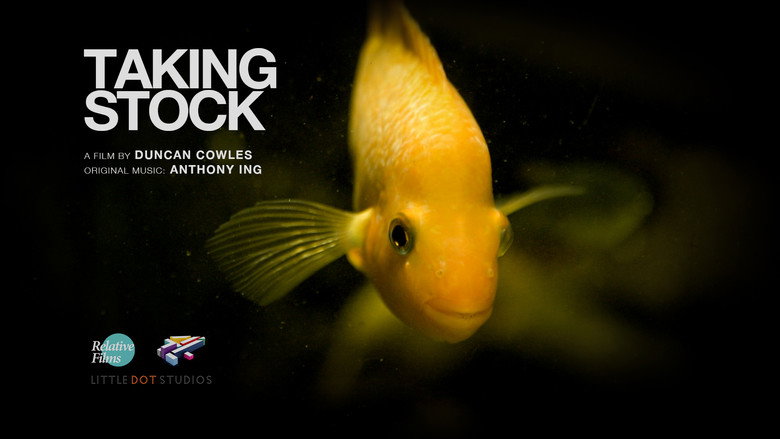 Taking Stock