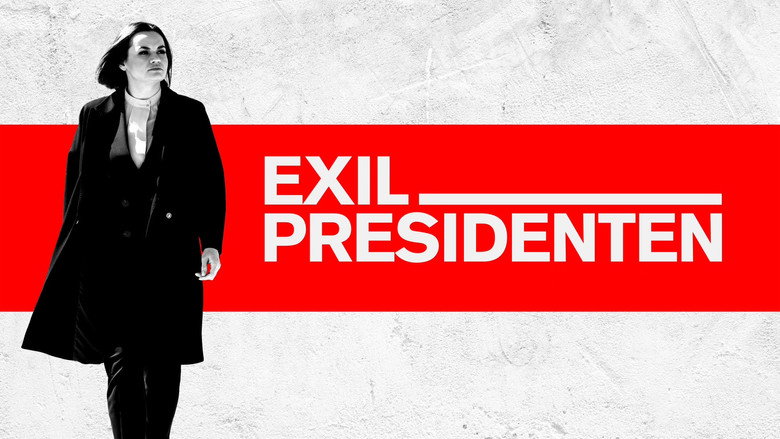 The Accidental President