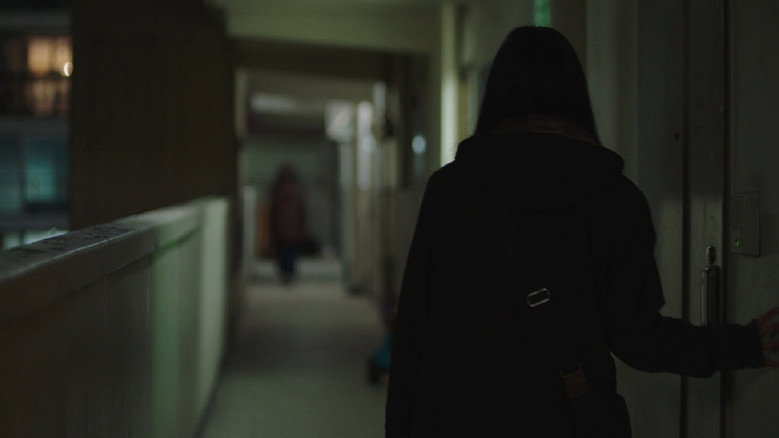 The Apartment with Two Women