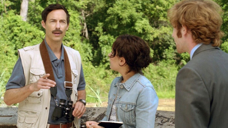 The Birder