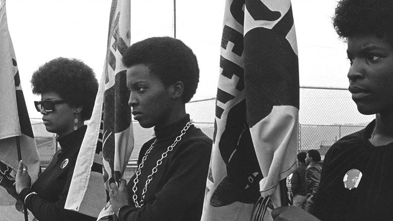 Black Panthers