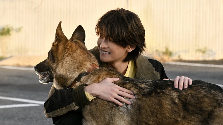 The Boy and the Dog