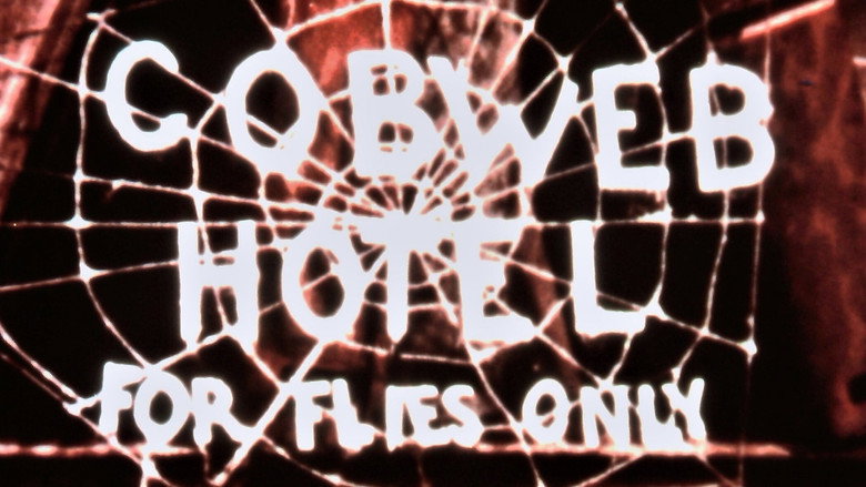 The Cobweb Hotel