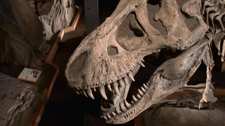 The Dinosaur Hunter