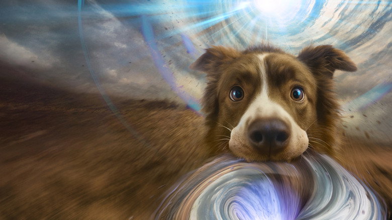 The Dog of Many Tomorrows