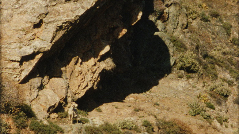 The Ground