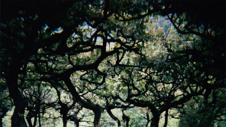 The Hedge Theater