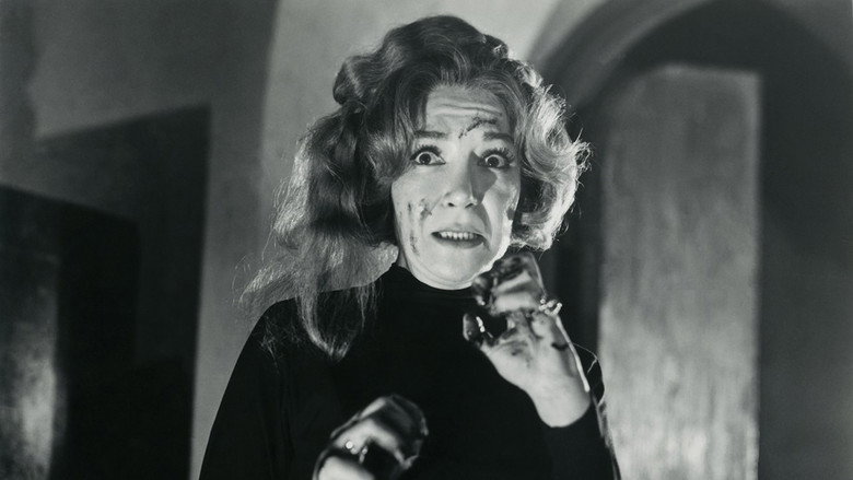 The Invasion of the Vampires