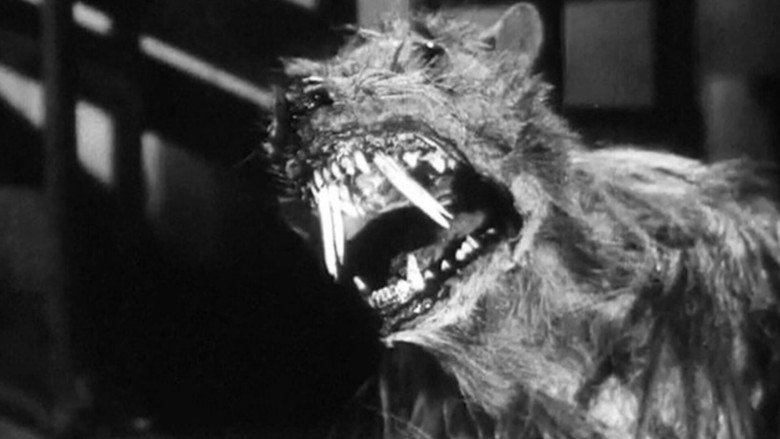 The Killer Shrews