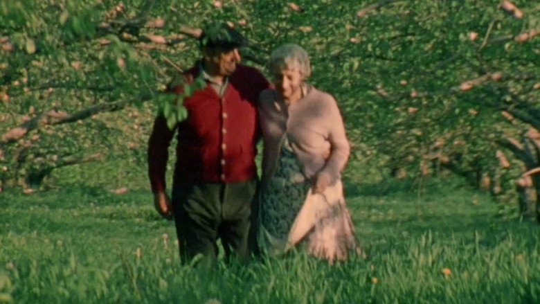 The Last Betrothal