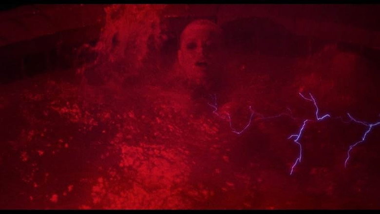 The Last Horror Film