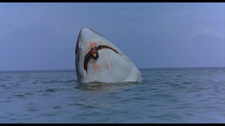 The Last Shark