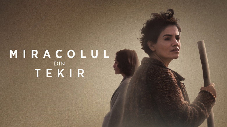 The Miracle of Tekir