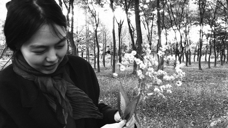 La Romancière, le Film et le Heureux Hasard