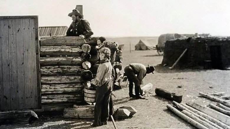 The Pony Express