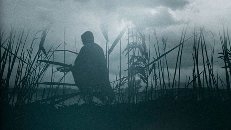 The Reeds