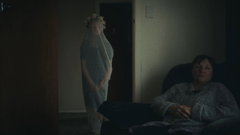 The Shroud
