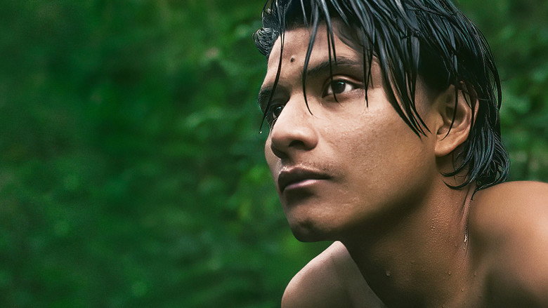 La forêt amazonienne : notre terre