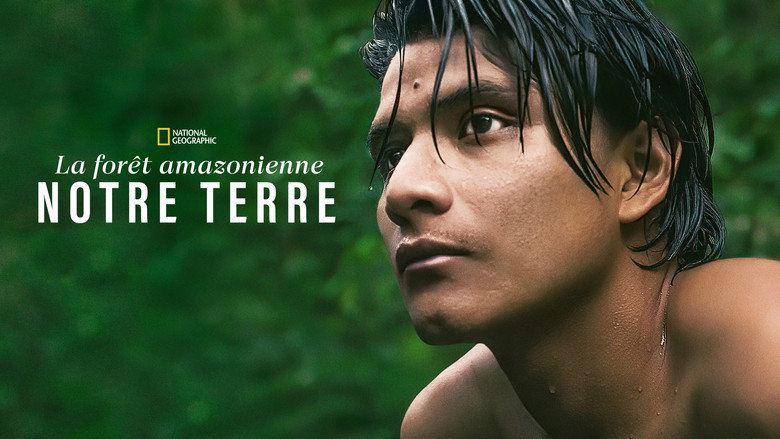 La forêt amazonienne : notre terre