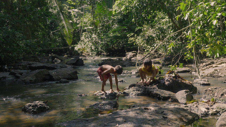 La forêt amazonienne : notre terre