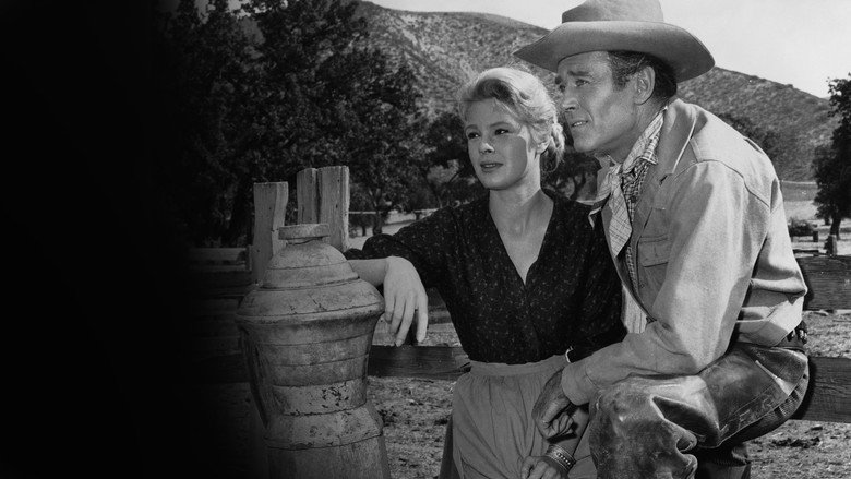 The Tin Star