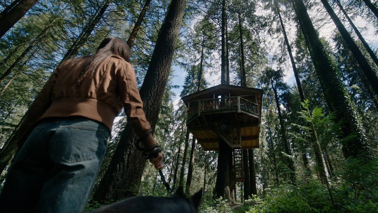 The Treehouse