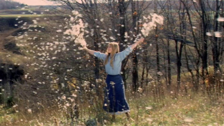 The True Nature of Bernadette