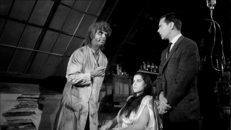 The Wacky World of Dr. Morgus