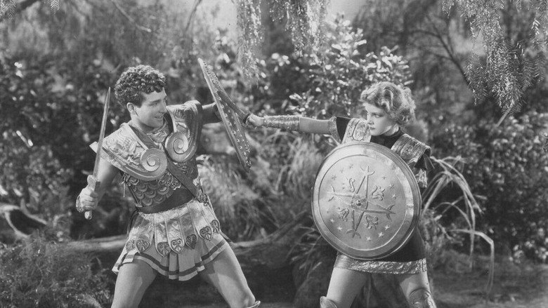 The Warrior's Husband