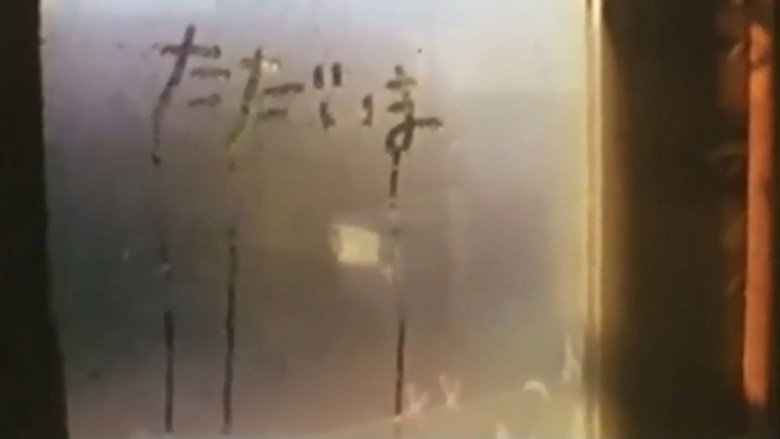 This World (A Correspondence Between Naomi Kawase and Hirokazu Koreeda)