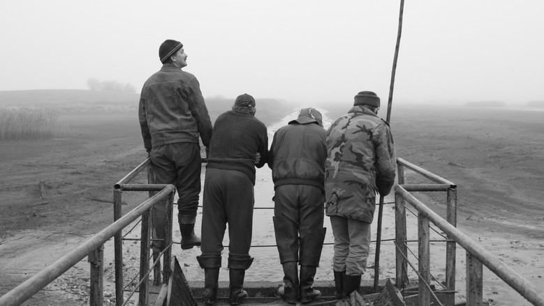 Three Men and a Fish Pond