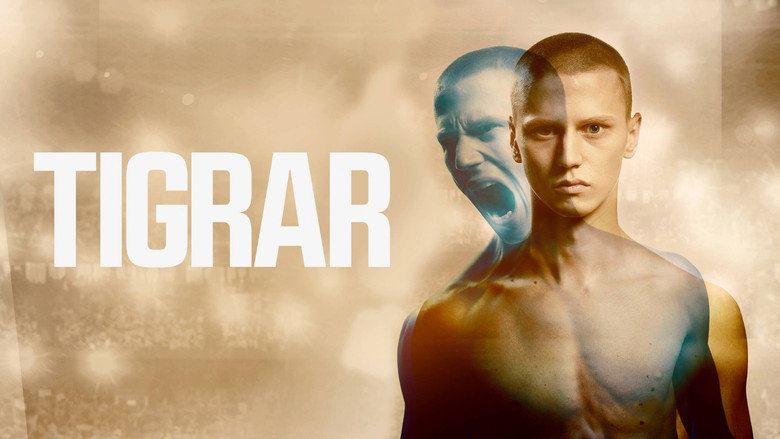 Tigrar