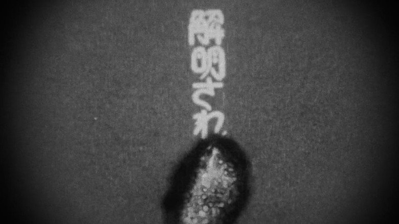 To Sleep So as to Dream
