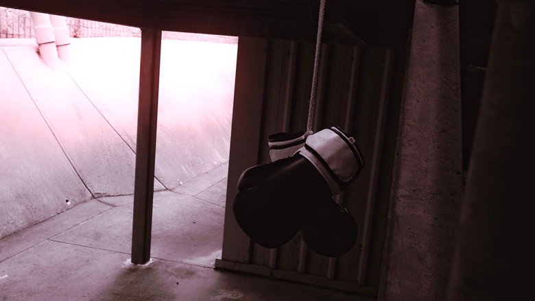 Trapped In Sight