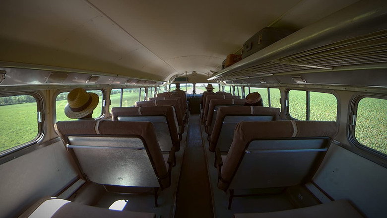 Traveling While Black