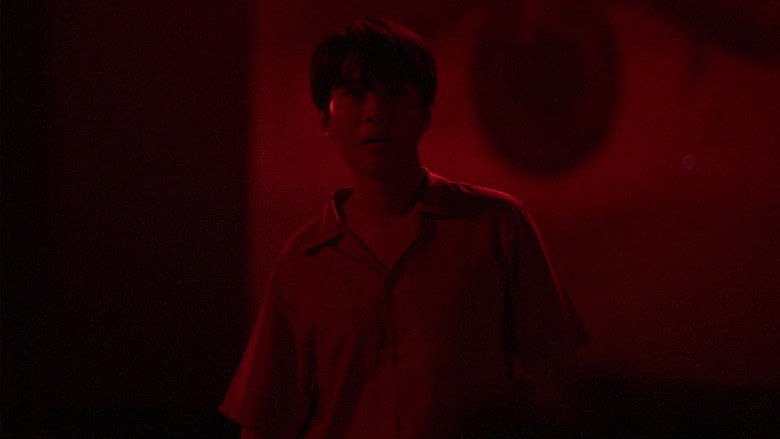 What Do You Seek in the Dark?