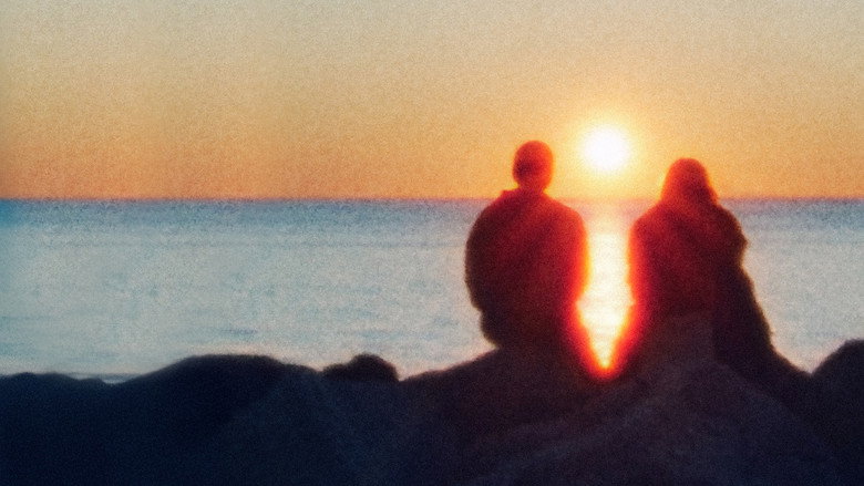When the Light Breaks