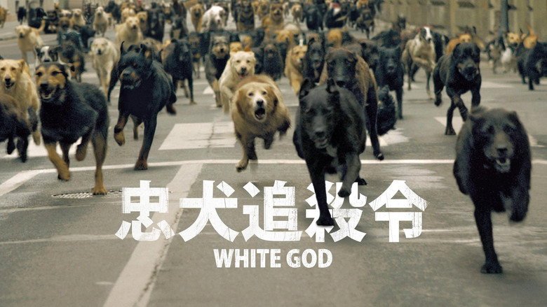 White God