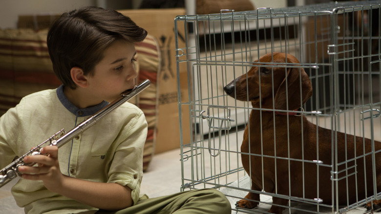 Wiener-Dog