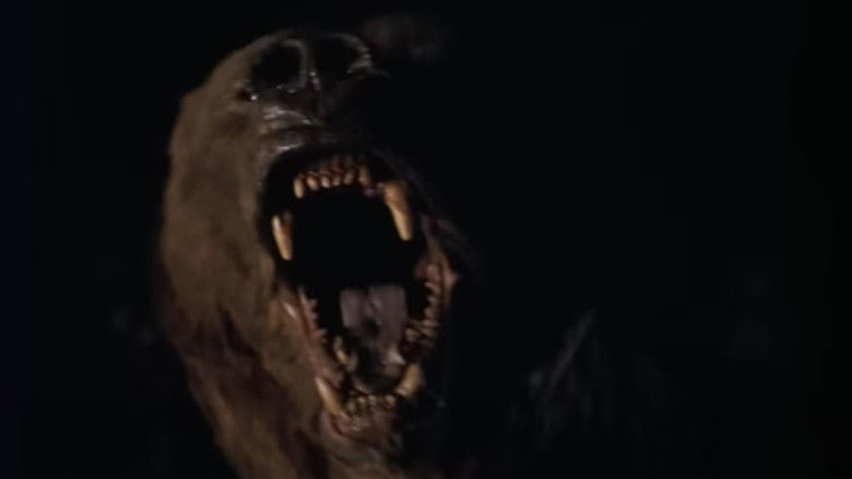 Wild Grizzly