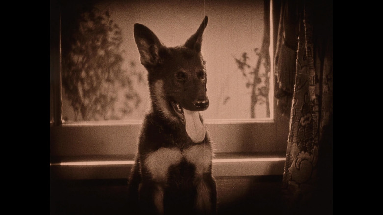 Wonder Dogs! Canine Stars of the Silent Era (1898-1928)